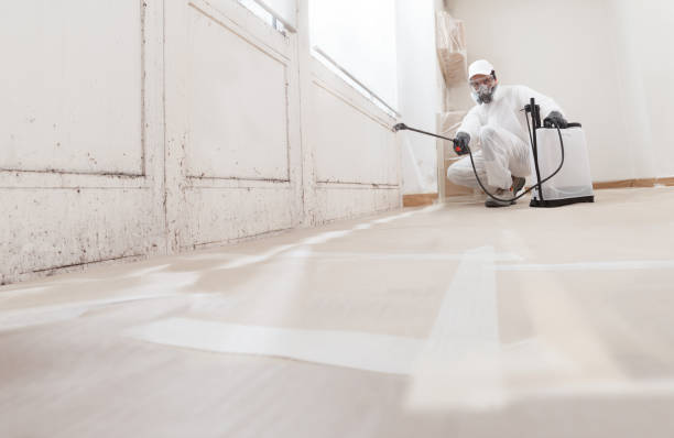 24/7 Emergency Mold Remediation experts in Rahway, NJ